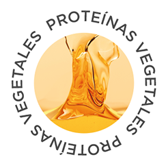 PROTEINA VEGETAL