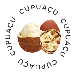 CUPUAÇU